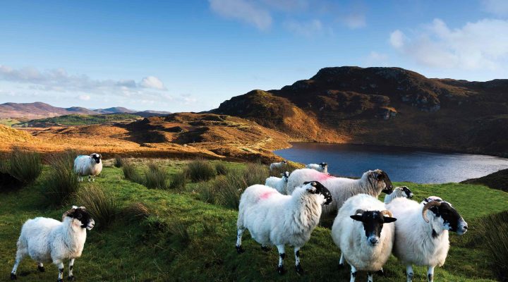 Irlanda