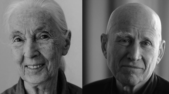 Jane Goodall e Sebastião Salgado